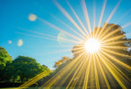 Sun in the First House Insights - My Shop of Wonders