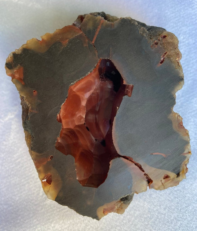 Red Fox Agate from Patagonia, Argentina - My Shop of Wonders