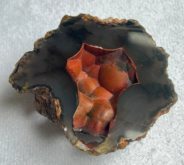 Unique Red Fox Agate from Argentina - My Shop of Wonders