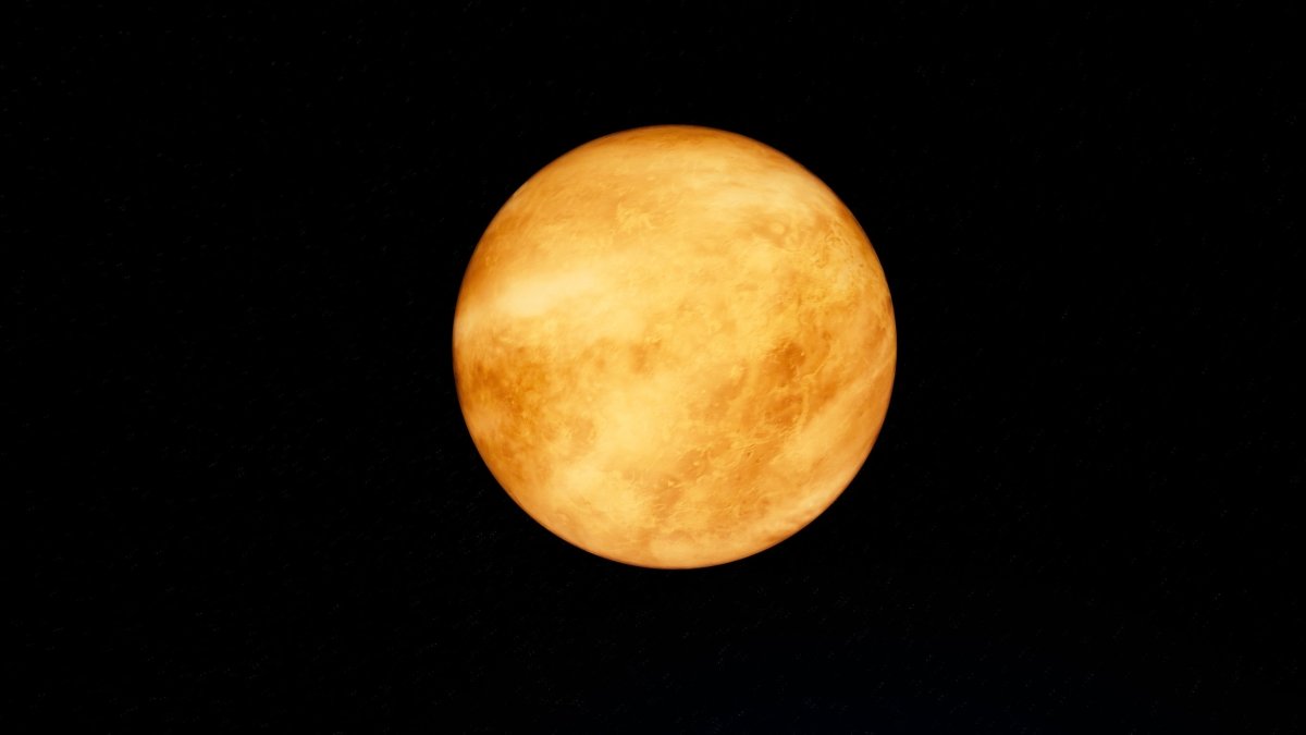 What Venus in the Second House Means - My Shop of Wonders