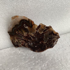 Sagenite Pseudomorph Agate from Turkey