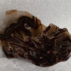 Sagenite Pseudomorph Agate from Turkey