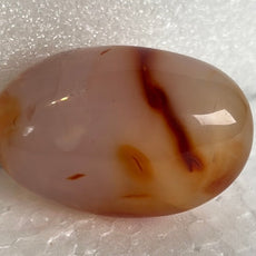 Carnelian Agate Palm Stone from Madagascar