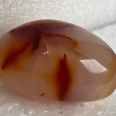 Carnelian Agate Palm Stone from Madagascar