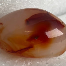 Carnelian Agate Palm Stone from Madagascar