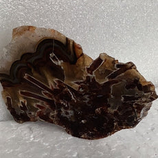 Sagenite Pseudomorph Agate from Turkey