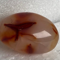 Carnelian Agate Palm Stone from Madagascar