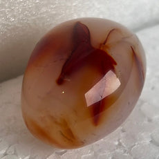 Carnelian Agate Palm Stone from Madagascar