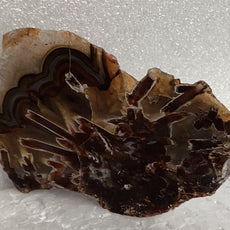 Sagenite Pseudomorph Agate from Turkey