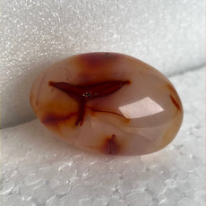 Carnelian Agate Palm Stone from Madagascar