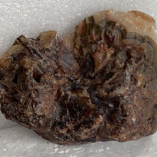 Sagenite Pseudomorph Agate from Turkey