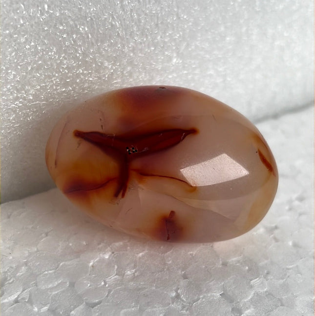 Carnelian Agate Palm Stone from Madagascar