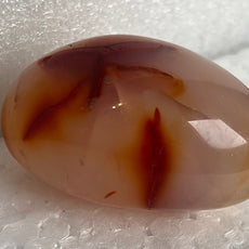 Carnelian Agate Palm Stone from Madagascar