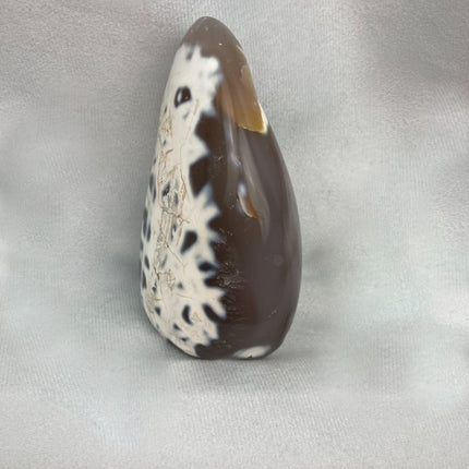 Agate Freeform Standup Stone from Madagascar - My Shop of Wonders