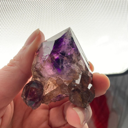 Alluring Beauty: African Amethyst's Charm - My Shop of Wonders