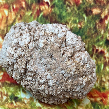 Amethyst Geode for Sale from Argentina: Elevate Your Spirituality - My Shop of Wonders