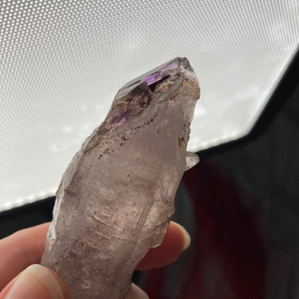 Amethyst Quartz Crystal: Radiant Elegance - My Shop of Wonders
