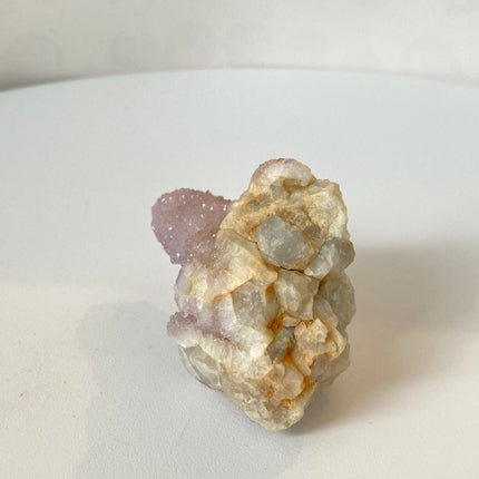 Cactus Amethyst: Clear & Shield Your Energy - My Shop of Wonders