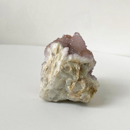 Cactus Crystal Showpiece: Amethyst - My Shop of Wonders
