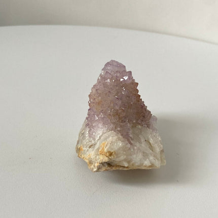 Cactus Quartz for Harmony & Clarity - My Shop of Wonders