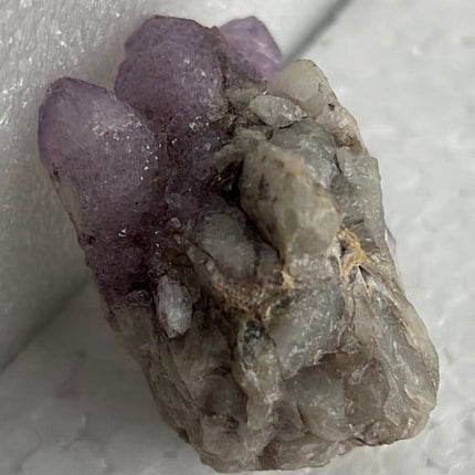 Cactus Quartz from Boekenhoutskloof, South Africa - My Shop of Wonders