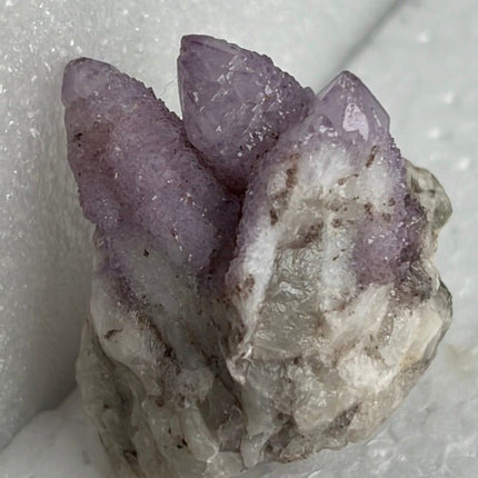 Cactus Quartz from Boekenhoutskloof, South Africa - My Shop of Wonders