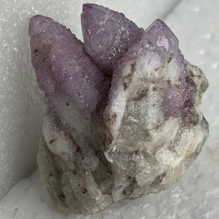 Cactus Quartz from Boekenhoutskloof, South Africa - My Shop of Wonders