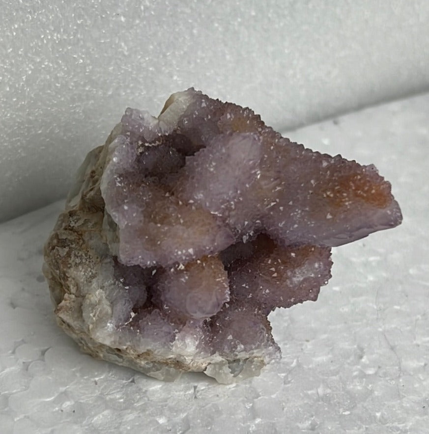 Cactus Quartz from Boekenhoutskloof, South Africa - My Shop of Wonders