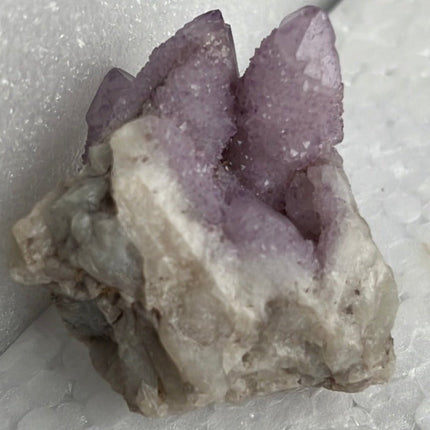 Cactus Quartz from Boekenhoutskloof, South Africa - My Shop of Wonders