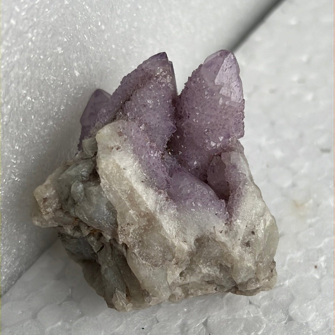 Cactus Quartz from Boekenhoutskloof, South Africa - My Shop of Wonders