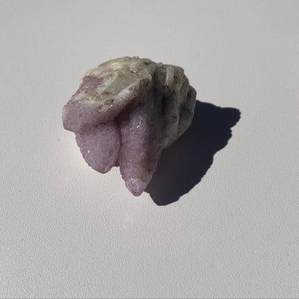 Cactus Quartz from Boekenhoutskloof, South Africa - My Shop of Wonders