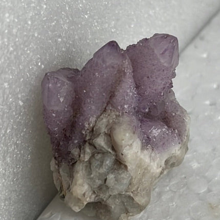 Cactus Quartz from Boekenhoutskloof, South Africa - My Shop of Wonders