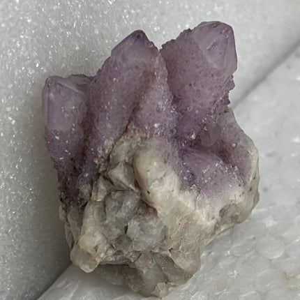 Cactus Quartz from Boekenhoutskloof, South Africa - My Shop of Wonders
