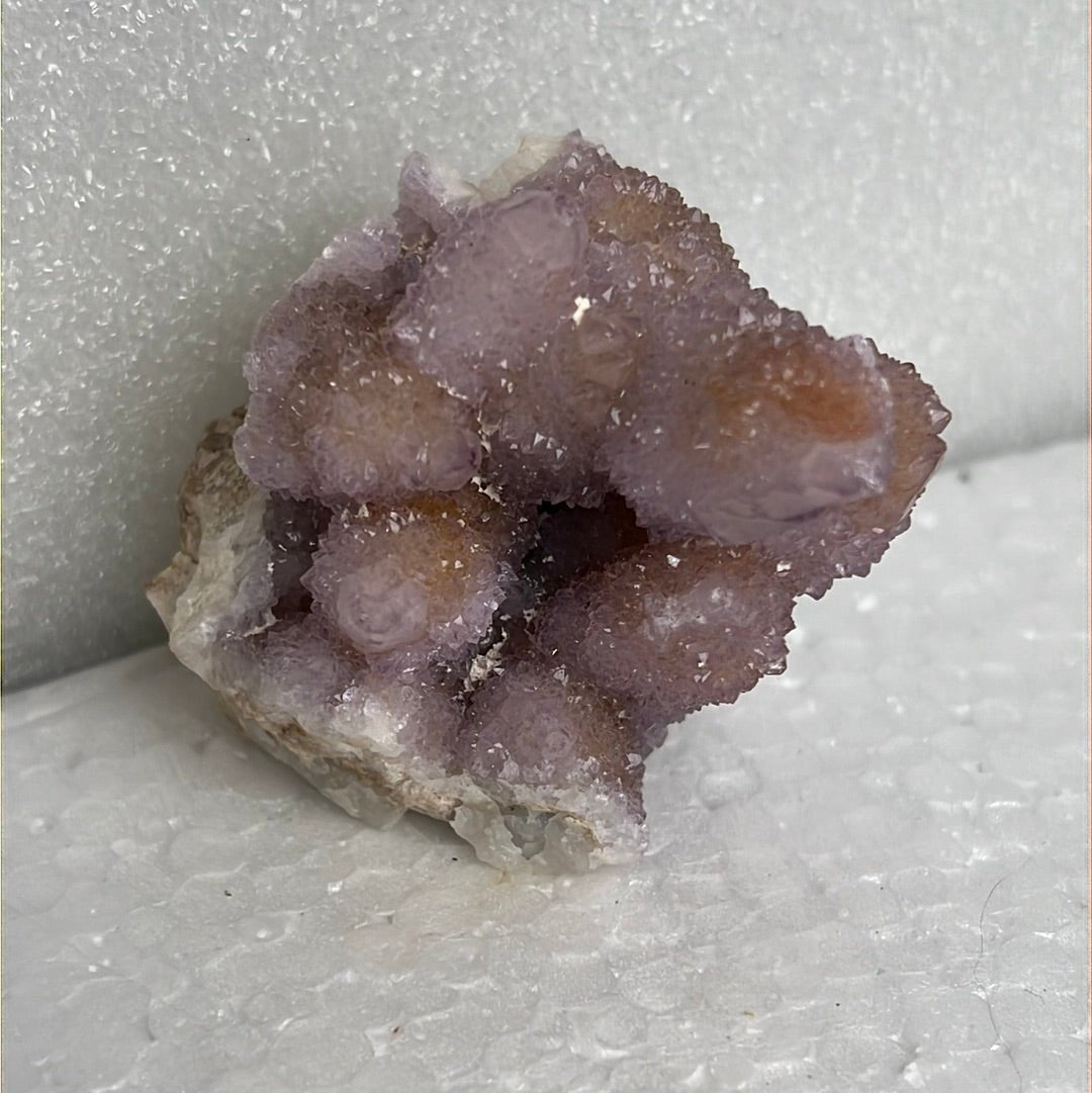 Cactus Quartz from Boekenhoutskloof, South Africa - My Shop of Wonders