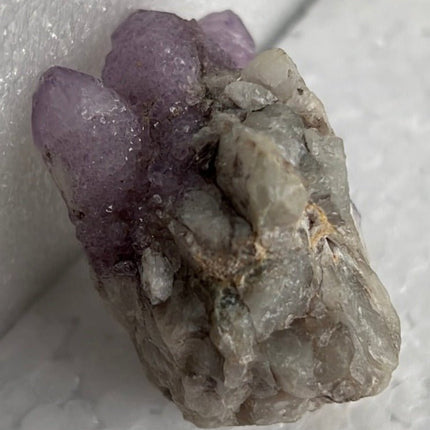 Cactus Quartz from Boekenhoutskloof, South Africa - My Shop of Wonders
