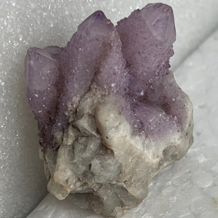 Cactus Quartz from Boekenhoutskloof, South Africa - My Shop of Wonders
