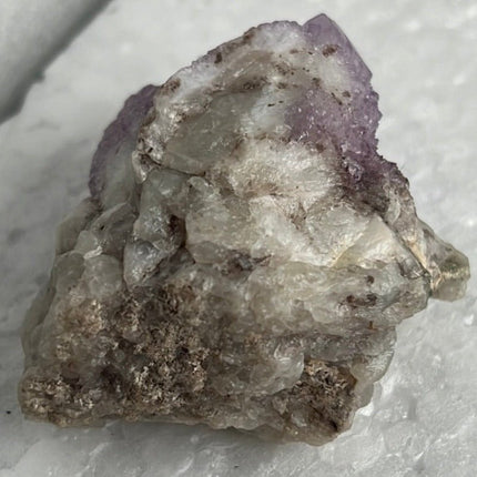 Cactus Quartz from Boekenhoutskloof, South Africa - My Shop of Wonders