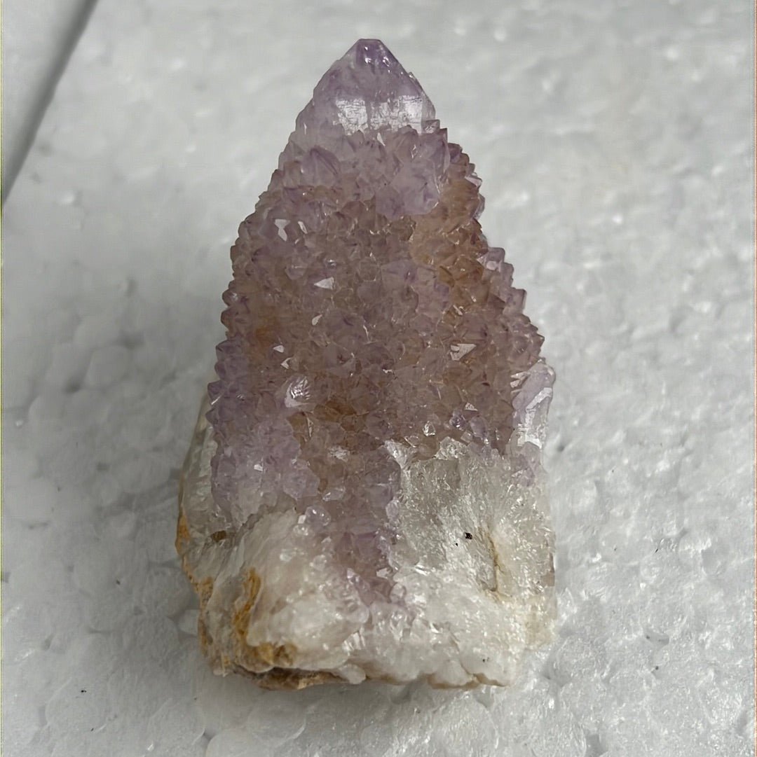 Cactus Quartz from Boekenhoutskloof, South Africa - My Shop of Wonders