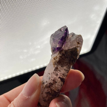 Channel Inner Strength: Buy Genuine Amethyst Crystal - My Shop of Wonders