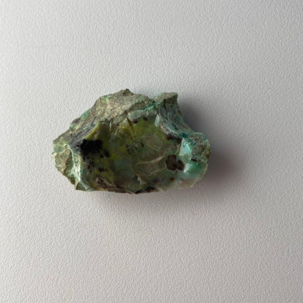 Colla Wood from Turkey - Beautiful Specimen - My Shop of Wonders