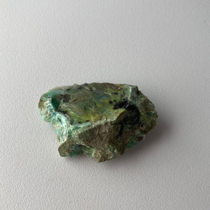 Colla Wood from Turkey - Beautiful Specimen - My Shop of Wonders