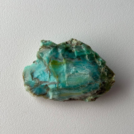 Colla Wood from Turkey - Beautiful Specimen - My Shop of Wonders