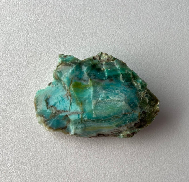 Colla Wood from Turkey - Beautiful Specimen - My Shop of Wonders