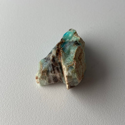 Crystallized Petrified Wood with Chrysocolla - My Shop of Wonders