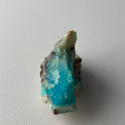 Crystallized Petrified Wood with Chrysocolla - My Shop of Wonders