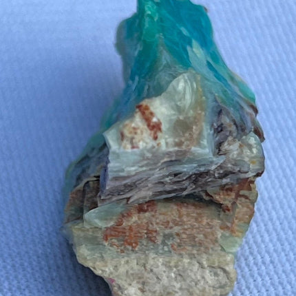 Crystallized Petrified Wood with Chrysocolla - My Shop of Wonders