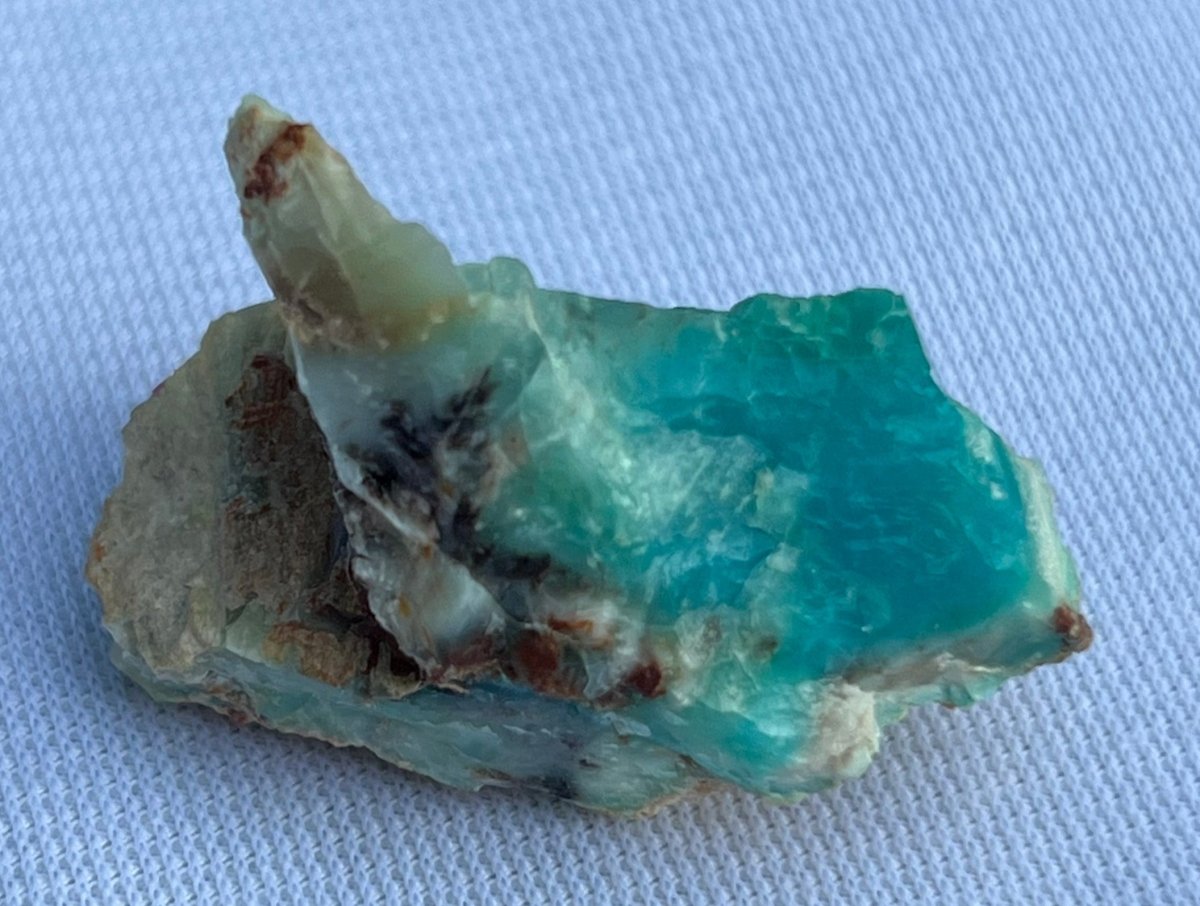 Crystallized Petrified Wood with Chrysocolla - My Shop of Wonders