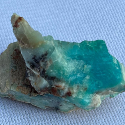 Crystallized Petrified Wood with Chrysocolla - My Shop of Wonders