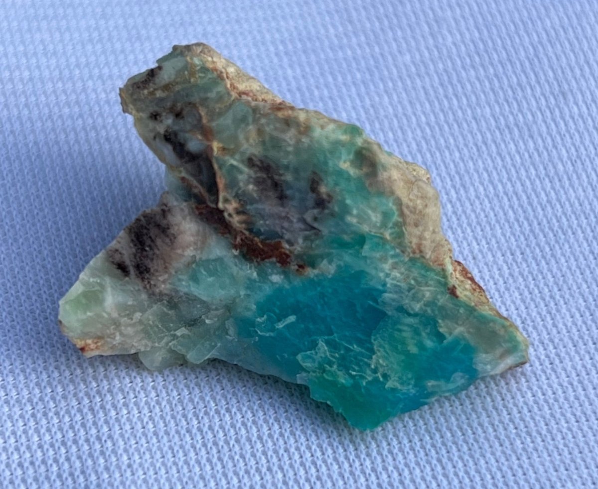 Crystallized Petrified Wood with Chrysocolla - My Shop of Wonders