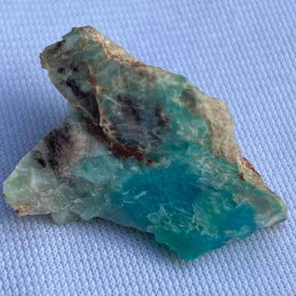 Crystallized Petrified Wood with Chrysocolla - My Shop of Wonders